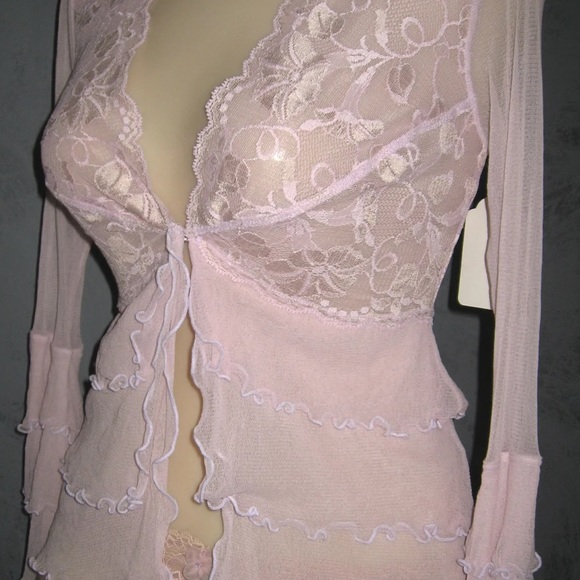 Claire Pettibone Tops - Claire Pettibone Georgette Sheer Lace Top